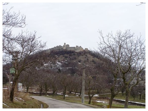 fbranc06.jpg