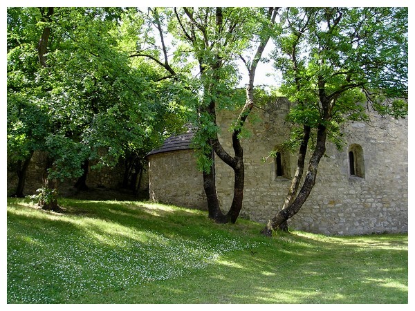hainburg02.jpg
