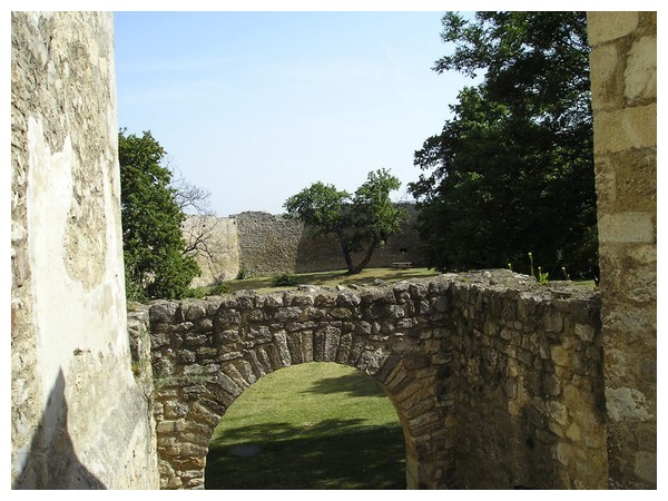 hainburg03.jpg
