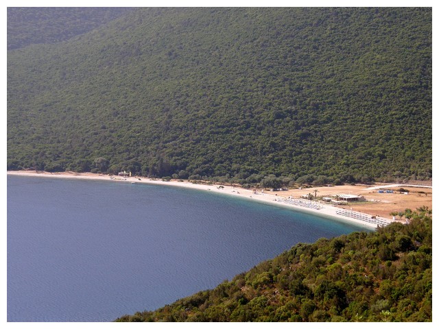 Antisamis shora.jpg