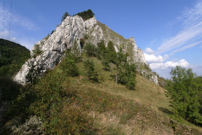 P9134687.jpg