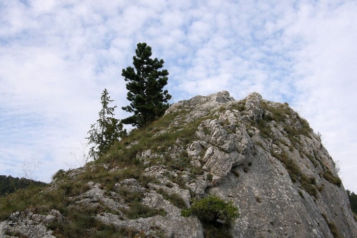 P9134792.jpg