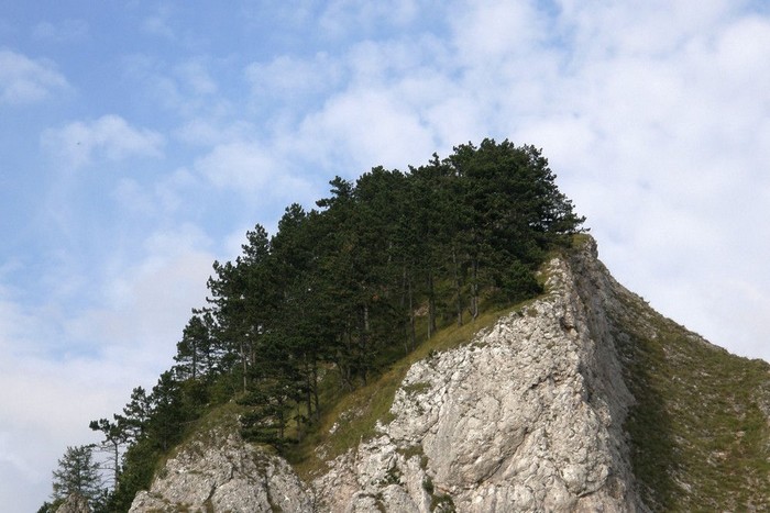 P9134813.jpg
