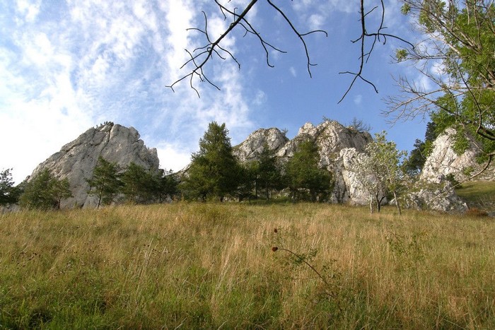 P9134822.jpg