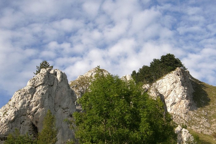 P9134853.jpg